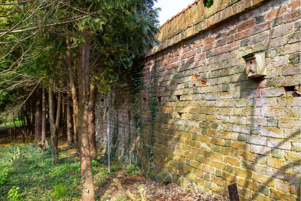 Abschnitt der historischen Klostermauer an der südöstlichen Grundstücksgrenze