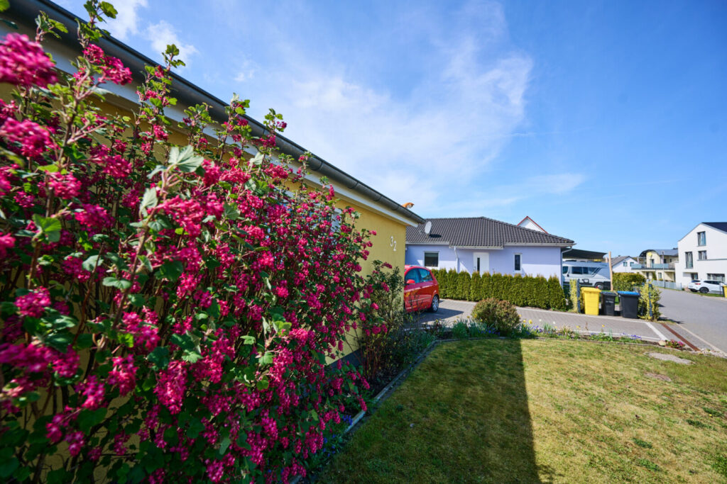 Impressionen des gepflegten Vorgartens