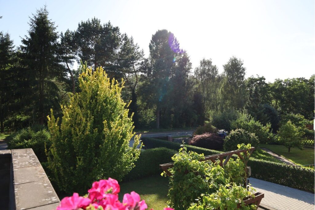Blick von der Terrasse nach Südwesten