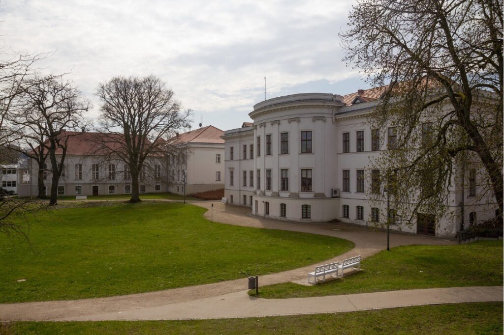 Blick auf das Großherzogliche Palais, die einstige Sommerresidenz der Mecklenburgischen Herzöge.