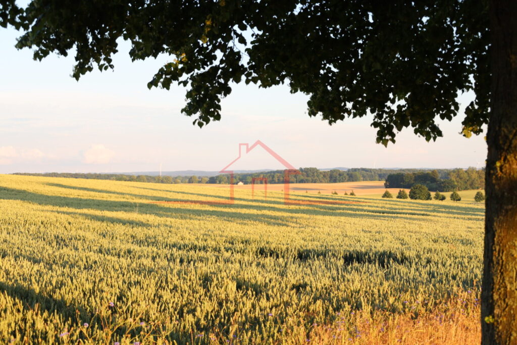Umgebung
