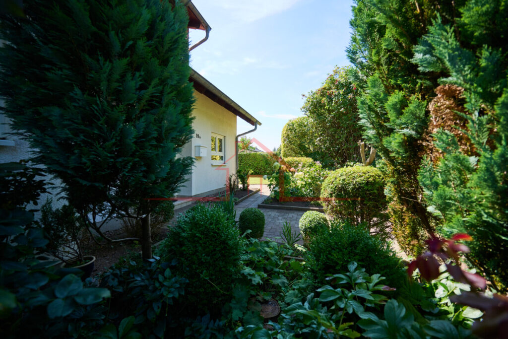 Blick in den Garten
