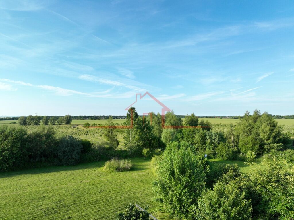 Ausblick ins Grüne