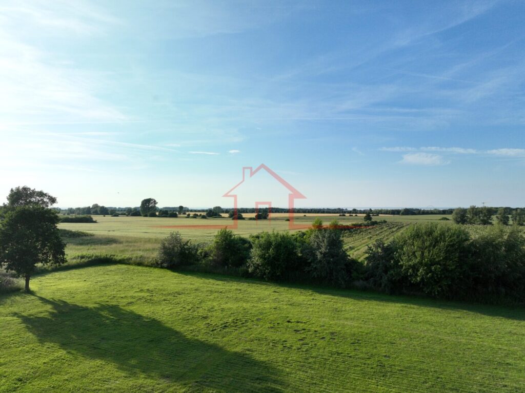 Blick auf die Wiese