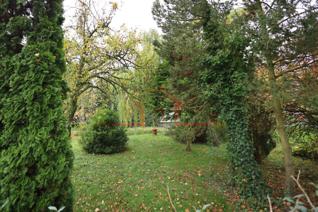 Impressionen vom Baugrundstück – Raum für Ihre individuellen Bauideen